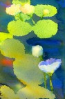 Lily Pads – Watercolor Work by Artist Deborah L Giles
