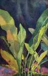Tropical Breezes – Watercolor Work by Artist Deborah L Giles