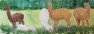 Alpacas in the Field – Work by Artist Deborah L Giles