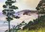 Sitka Sentinel on the Oregon Coast – Watercolor Work by Artist Deborah L Giles